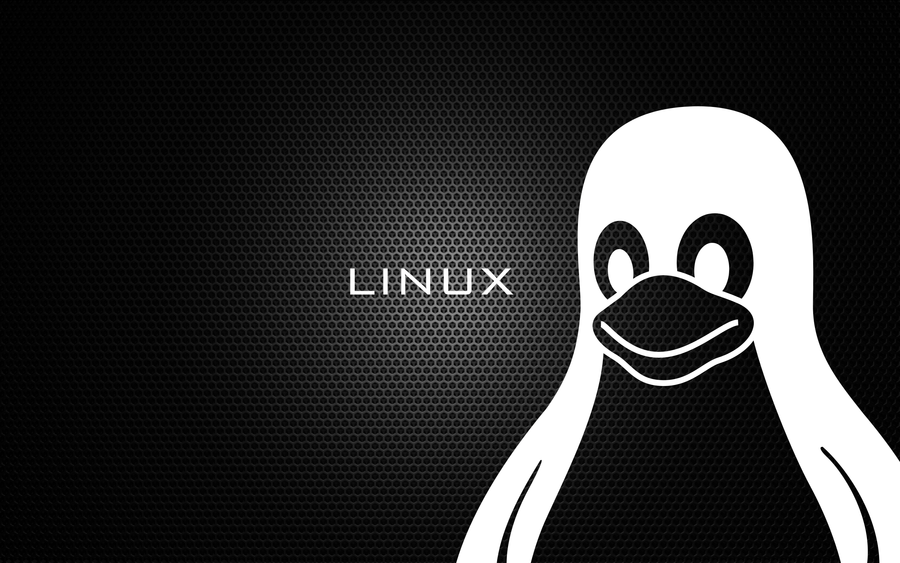 Linux corporate training workshop